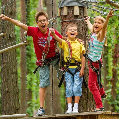 картинка парк безумная белка